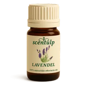 Lavendel etherische olie