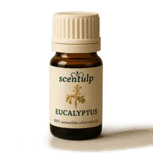 Eucalyptus etherische olie
