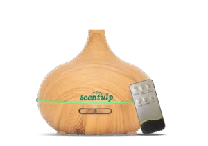 device with buttons