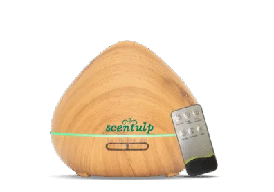 device with buttons