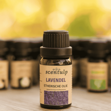 20a097ab883b4bf32a62c8a313eae1f3 (1) Etherische Olie Lavendel | Kalmerende 100% Natuurzuivere Olie - 10 ml
