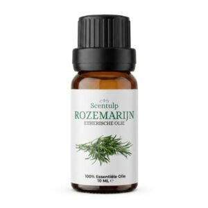 Etherische Olie Rozemarijn - BIO