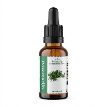 Etherische Olie Rozemarijn - BIO