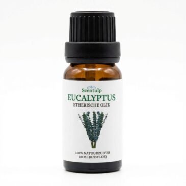 Eucalyptus etherische oliën met blauw-groen etiket - 100% pure natuurlijke eucalyptusolie voor luchtzuivering