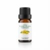 etherische olie diffuser ylang ylang- 100% natuurzuivere exotische geur voor luxe sfeer