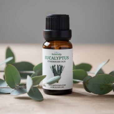Etherische Olie Eucalyptus - 10ml