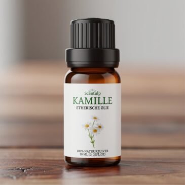 Etherische Olie Kamille - 10 ml