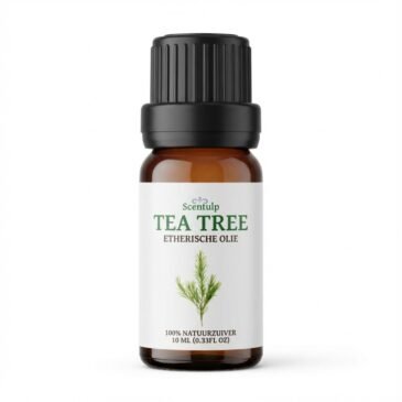 Pure tea tree etherische olie kopen - 100% natuurzuivere luchtzuivering voor schone lucht