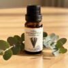 Etherische Olie Eucalyptus - 10ml