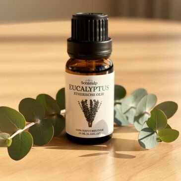Etherische Olie Eucalyptus - 10ml