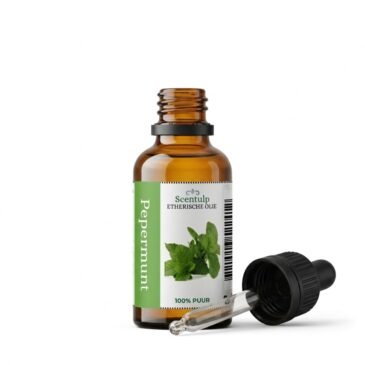 Etherische Olie Pepermunt - BIO