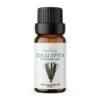 eucalyptus Etherische Olie Eucalyptus - BIO - 10ml