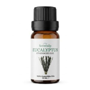 Etherische Olie Eucalyptus - BIO - 10ml