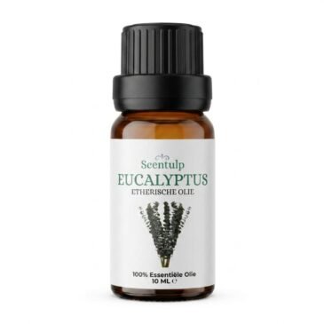 eucalyptus Etherische Olie Eucalyptus - BIO - 10ml