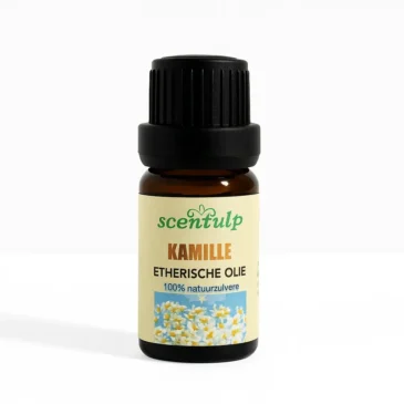 Pure kamille etherische olie in glazen fles - 100% natuurzuivere ontspannende olie uit Egypte
