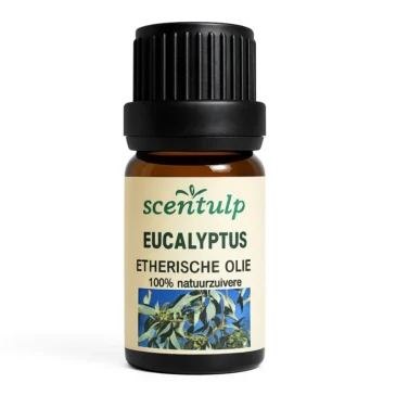 image etherische olie eucalyptus met blauw-groen etiket - 100% pure natuurlijke eucalyptusolie voor luchtzuivering