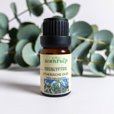 images (2) etherische olie eucalyptus met blauw-groen etiket - 100% pure natuurlijke eucalyptusolie voor luchtzuivering