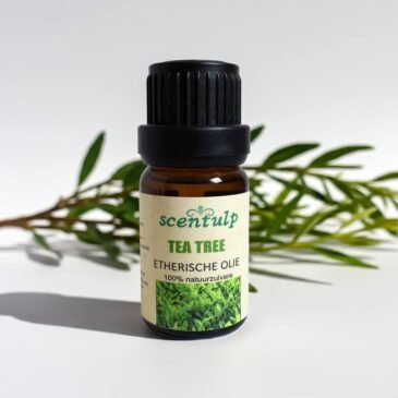 Pure tea tree etherische olie - 100% natuurzuivere luchtzuivering voor schone lucht