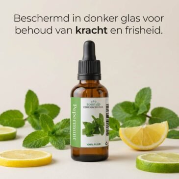 Etherische Olie Pepermunt - BIO