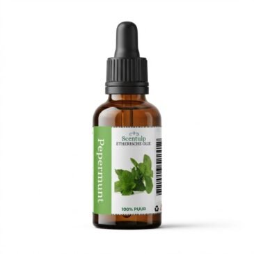 Etherische Olie Pepermunt - BIO