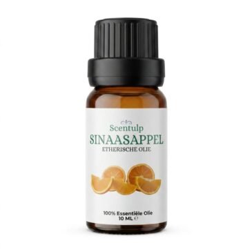 sinaasappel Etherische Olie Sinaasappel - BIO - 10ml