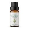 tea tree Etherische Olie Tea Tree - BIO