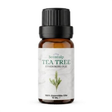 tea tree Etherische Olie Tea Tree - BIO
