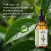 teatreeoliescentulp4 Etherische Olie Tea Tree - BIO