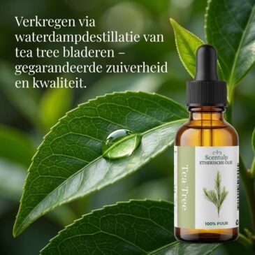 teatreeoliescentulp4 Etherische Olie Tea Tree - BIO