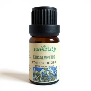 fluxkontext_a68766edc52e4574a5cabb19c060e115_1754259345 eucalyptus etherische olie