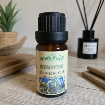 fluxkontext_a92b76226f7545d4b3be18f8fc3d0c87_1754250693 Etherische Olie Eucalyptus | Intens Frisse 100% Natuurzuivere Olie - 10ml