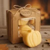 Handgemaakte pompoen waxmelts van sojawax in doosje
