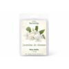 jasmijn wax melts
