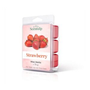 wqdf aardbei wax melts