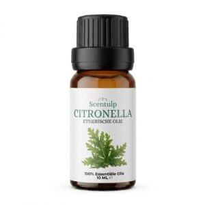 Etherische Olie Citronella – BIO - 10ml