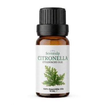citronella Etherische Olie Citronella – BIO - 10ml
