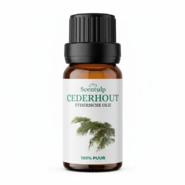 dvc Etherische Olie Cederhout – 10 ml