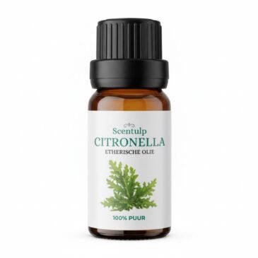 Etherische Olie Citronella – 10 ml