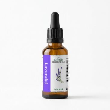 Etherische Olie Lavendel - BIO
