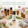 fgyth Etherische Olie Palmarosa – BIO – 10ml | Scentulp