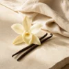 04-scentulp-vanilla-haven-100ml-scent-story Scentulp Vanilla Haven geurstokjes 100 ml – Vanille
