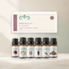 botanische-luxe-oliecollectie-6x10ml-01-hero Botanische Luxe oliecollectie met doos en zes Scentulp etherische oliën van 10 ml.