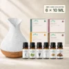 palma-aroma-diffuser-set-6-etherische-olien-01-hero-v3 Palma aroma diffuser set met vier oliecollecties en zes zichtbare flesjes etherische olie van 10 ml