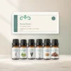 rustig-ritueel-oliecollectie-6x10ml-01-hero-v2 Rustig Ritueel oliecollectie met doos en zes Scentulp etherische oliën van 10 ml.