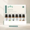 rustig-ritueel-oliecollectie-6x10ml-02-open-box-v2 Open Rustig Ritueel doos met zes etherische-olieflesjes in één vaste rij.