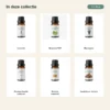 rustig-ritueel-oliecollectie-6x10ml-03-inhoud-v2 Inhoud van Rustig Ritueel met Lavendel, Bergamot FCF, Eucalyptus, Roomse Kamille, Wierook en Sandelhout / Amyris.