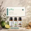 rustig-ritueel-oliecollectie-6x10ml-04-geurprofiel-v2 Rustig Ritueel oliecollectie in een botanische setting met een fris, bloemig en aromatisch geurprofiel.
