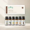 warme-avond-oliecollectie-6x10ml-01-hero-v2 Warme Avond oliecollectie met doos en zes Scentulp etherische oliën van 10 ml.