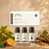 warme-avond-oliecollectie-6x10ml-04-geurprofiel-v2 Warme Avond oliecollectie in een botanische setting met een warm, bloemig en houtachtig geurprofiel.