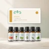 zomerlicht-oliecollectie-6x10ml-01-hero-v2 Zomerlicht oliecollectie met doos en zes Scentulp etherische oliën van 10 ml.